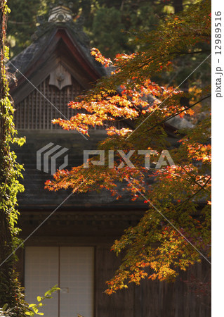 秋の三千院門跡 12989516