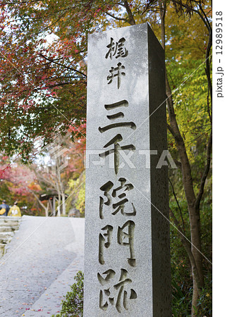 秋の三千院門跡 12989518