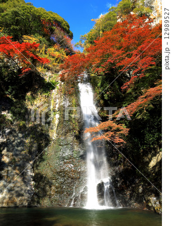 箕面大滝 12989527