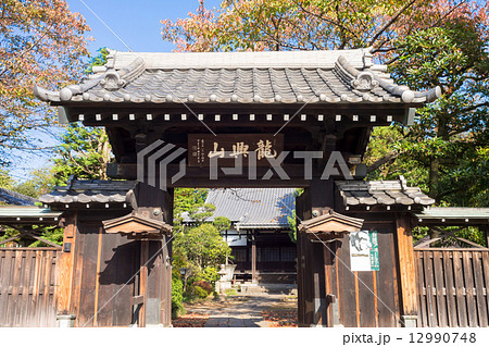 臨江寺山門 臨江寺山門 12990748