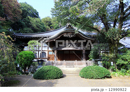 武蔵国分寺本堂 12990922