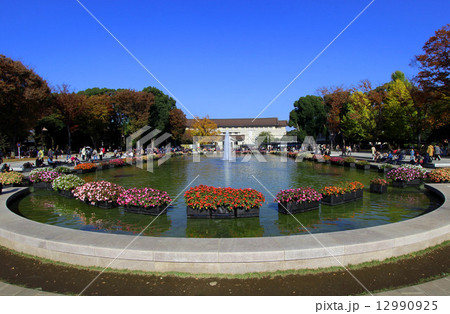 上野公園の噴水 12990925