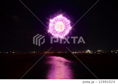 紫色の花火 12991024