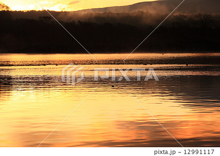 精進湖の朝焼け 精進湖の朝焼け 12991117