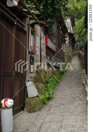 猫の細道 12991704