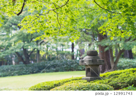 大田黒公園の日本庭園 12991743