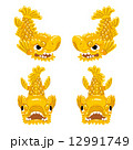 金鯱 12991749
