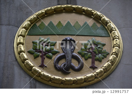 インド インド 12991757