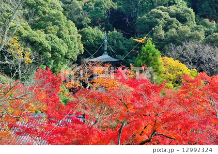 紅葉の京都永観堂 12992324