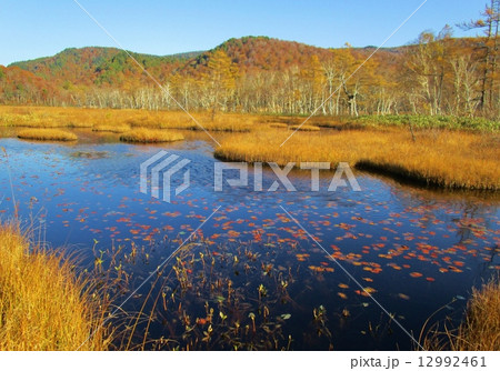 尾瀬 尾瀬 12992461