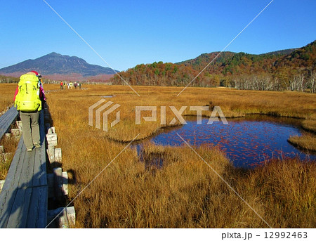 尾瀬 尾瀬 12992463