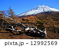 風景　富士山　秋　の写真 12992569