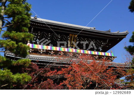 京都・金戒光明寺の山門と紅葉 京都・金戒光明寺の山門と紅葉 12992689