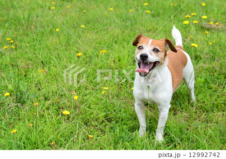 遊ぶ！？ 12992742