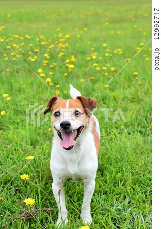 ねぇねぇ♪ ねぇねぇ♪ 12992747