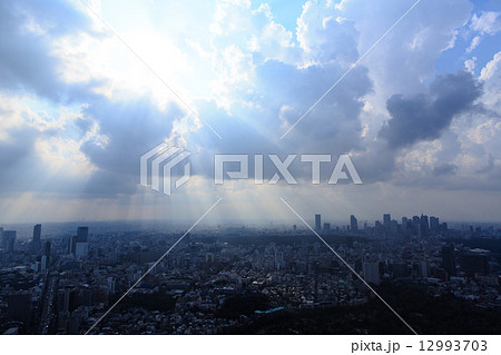 東京 12993703