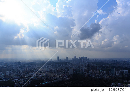 東京 12993704
