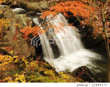 滝川渓谷の紅葉と滝 滝川渓谷の紅葉と滝 12994177