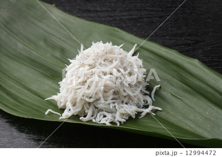 シラスの釜あげ シラスの釜あげ 12994472