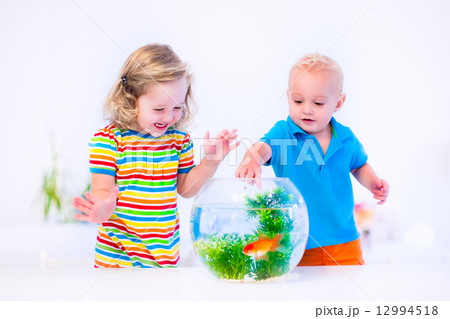 Kids watching fish bowl 12994518