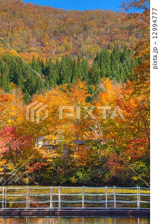 地蔵沼の紅葉 12994777