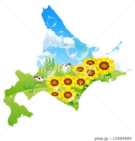 北海道　ひまわり　風景 12994984