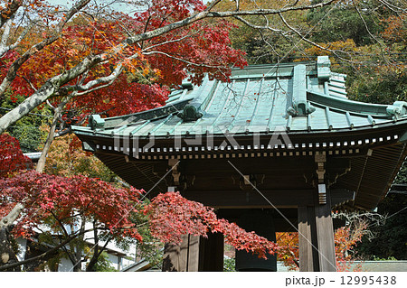 紅葉の海蔵寺 紅葉の海蔵寺 12995438