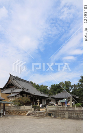四国霊場第59番札所「（伊予）国分寺」本堂、大師堂 12995485