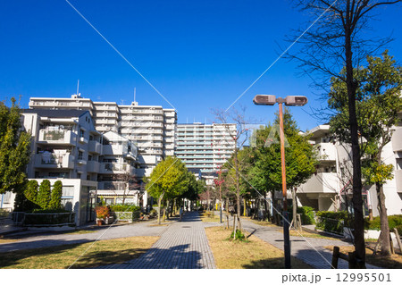 郊外の住宅地 郊外の住宅地 12995501