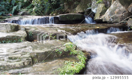 西表の滝 12995555