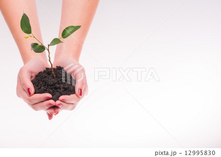 Concept of new life Concept of new life 12995830