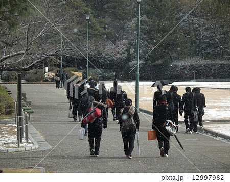 入学試験会場に向かう受験生 12997982