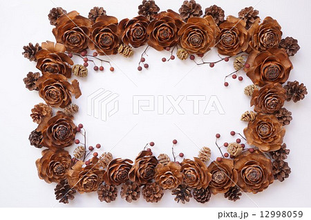 木の実のフレーム 12998059