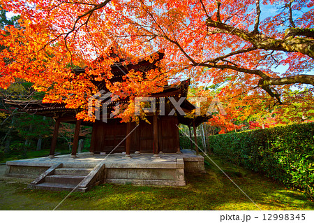 一休寺の紅葉 一休寺の紅葉 12998345