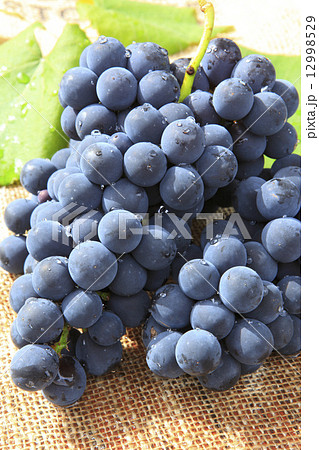 もぎ立てのブドウ 12998529
