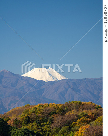 神奈川から丹沢山系と富士山を望む 12998707