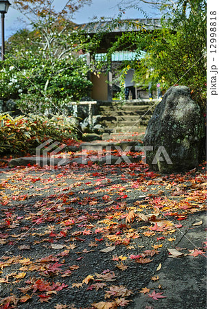紅葉の海蔵寺 紅葉の海蔵寺 12998818