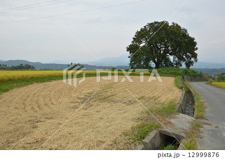韮崎市神山町の秋は 12999876