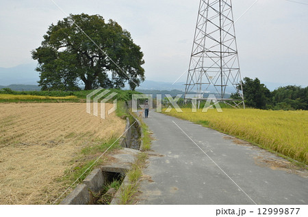 韮崎市神山町の秋は 12999877