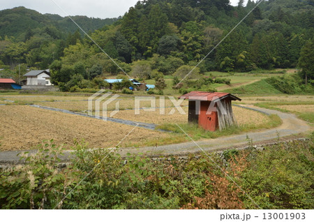 東京郊外八王子の９月は 13001903