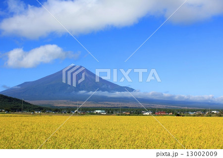 秋の風景と富士山 秋の風景と富士山 13002009