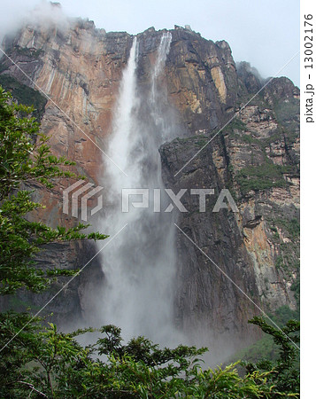 エンジェルフォール エンジェルフォール 13002176