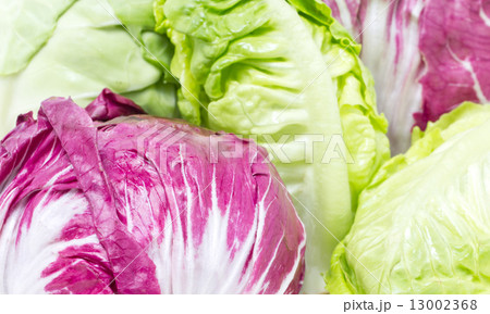 Radicchio and Baby Cos. 13002368