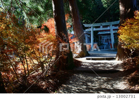 高天彦神社 13002731