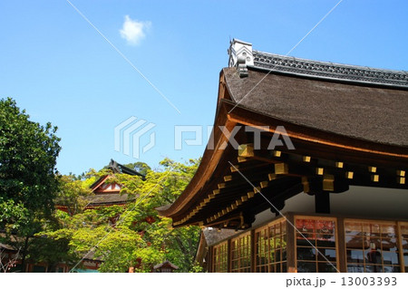 上賀茂神社 上賀茂神社 13003393