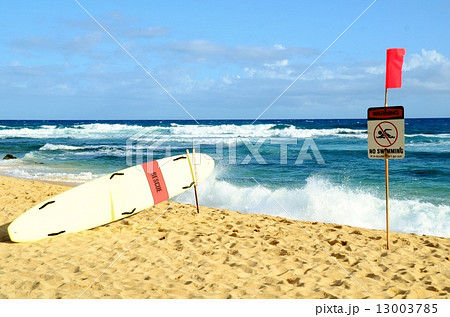 ハワイの休日 ハワイの休日 13003785