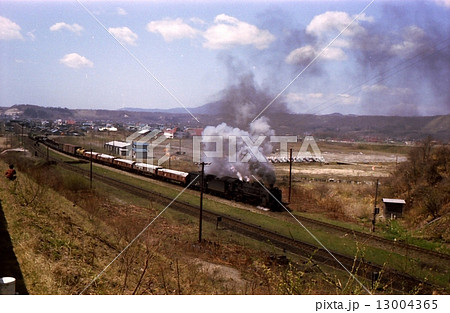 昭和50年 D51牽引貨物列車 北海道 室蘭本線白老 昭和50年 D51牽引貨物列車 北海道 室蘭本線白老 13004365