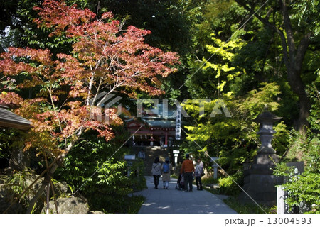 来宮神社 13004593
