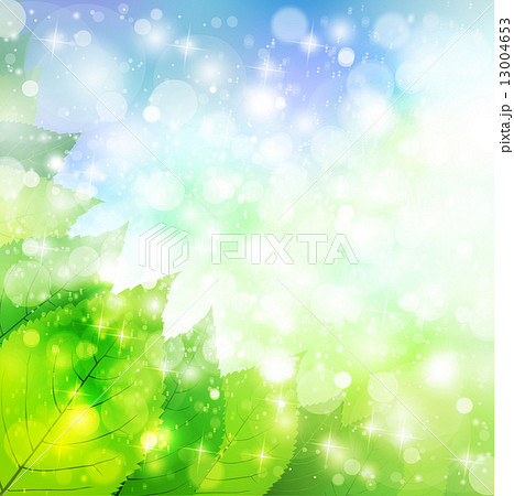 葉 空 風景 葉 空 風景 13004653