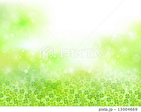 葉　クローバー　風景 13004669